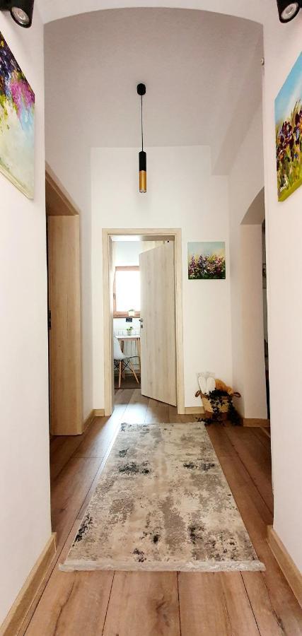 Art Studio Braşov Extérieur photo